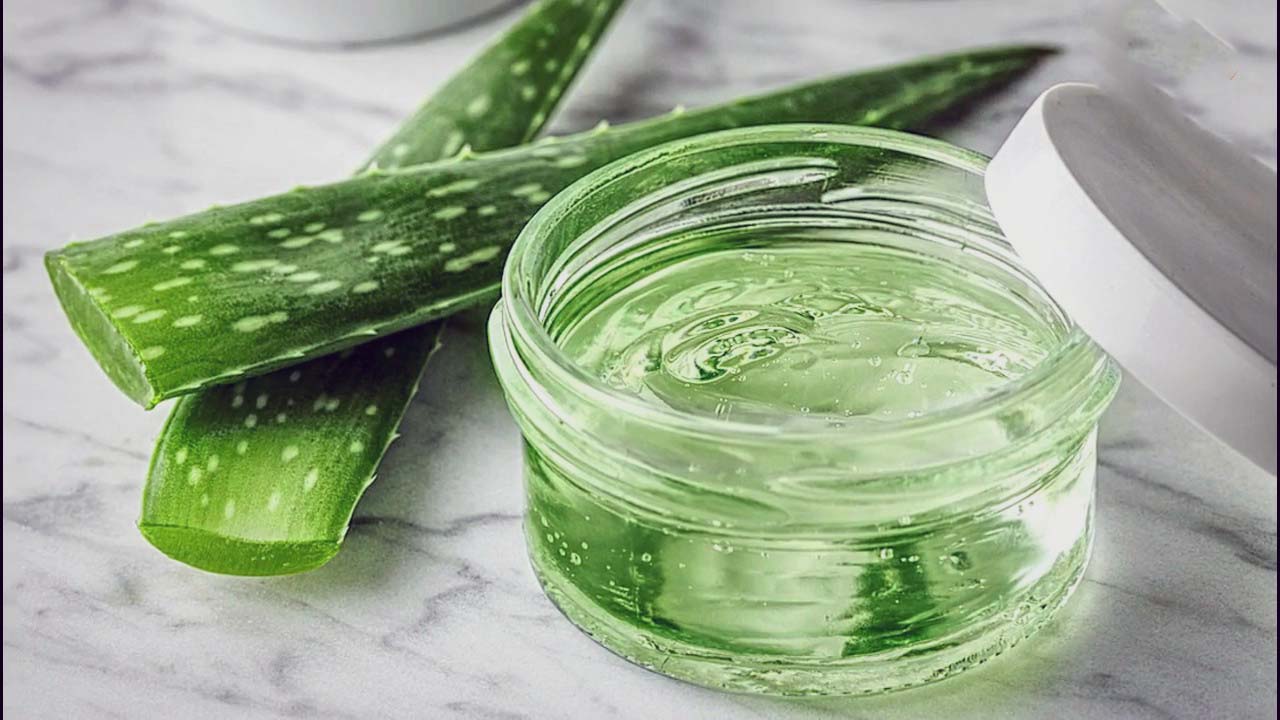 Evde Aloe Vera Suyu NasÄ±l HazÄ±rlanÄ±r ? | KAHVEKAFE - Kahve DÃ¼nyasÄ±ndan Bilgiler ve Tarifler