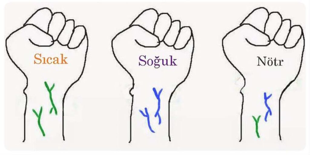 buğday ten saç rengi 3 cilt alt tonu