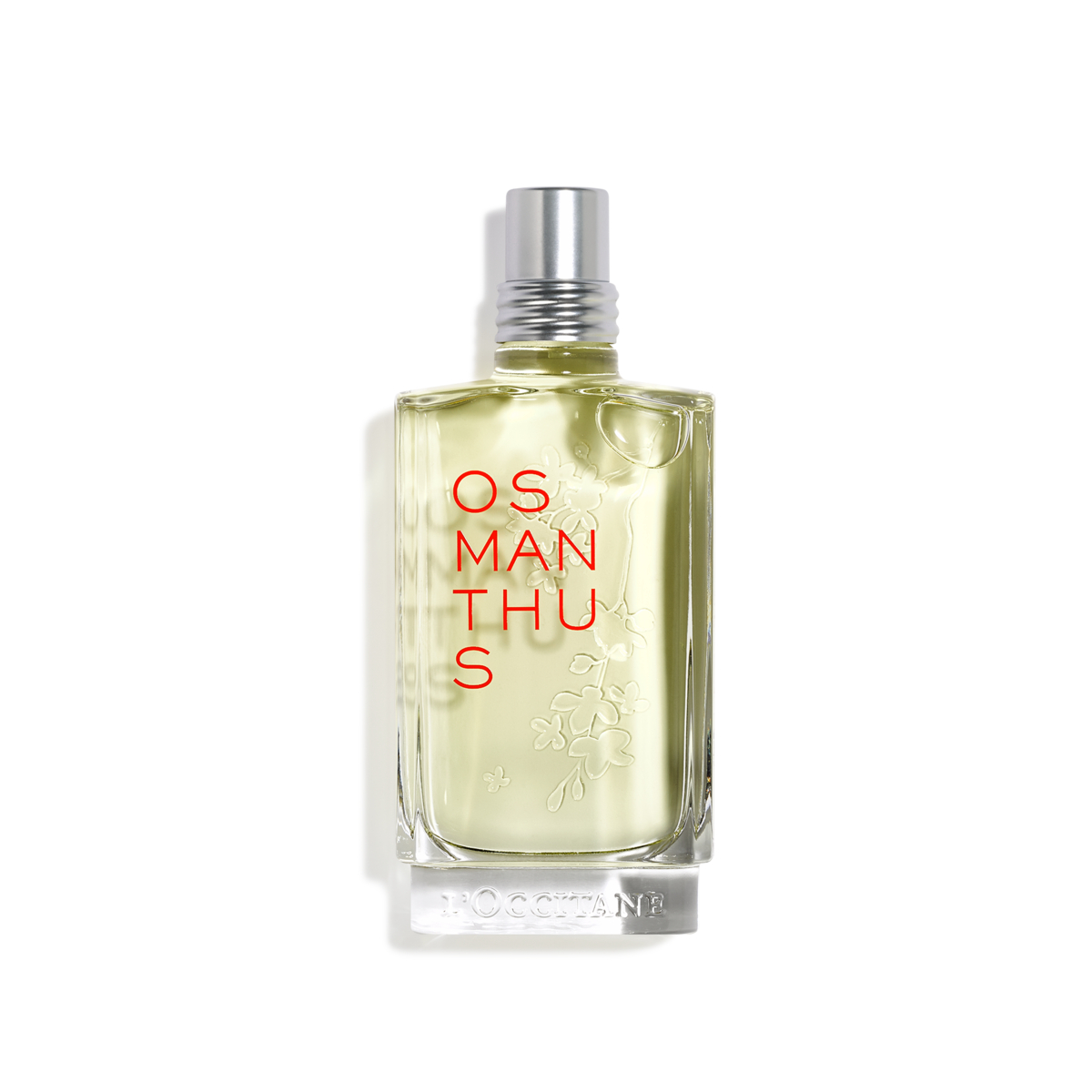osmanthus