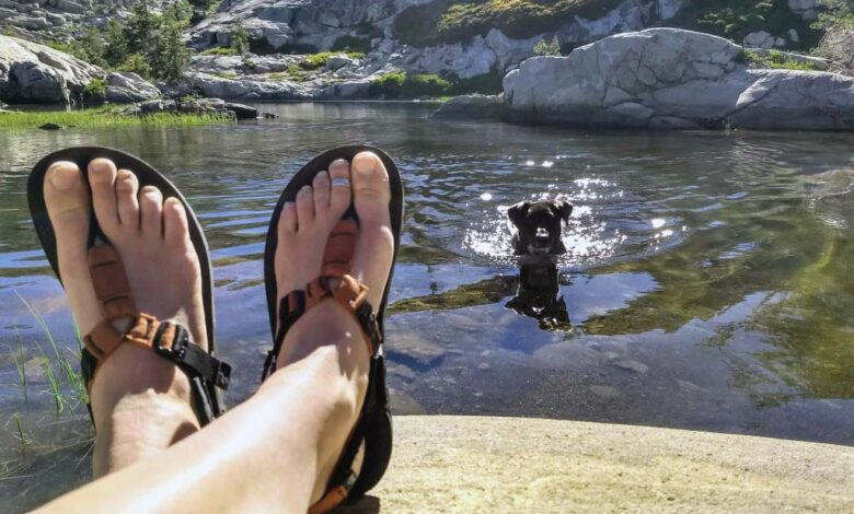 bayan sandalet modelleri 2022-2023